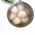 Canned lychee in syrup with best price